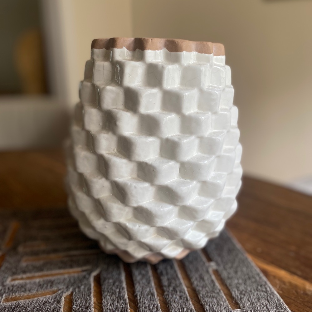Crate and Barrel Textured Vase